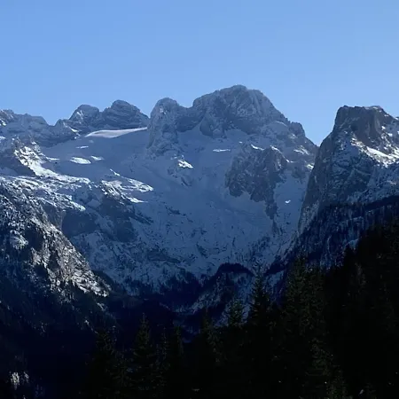 Dachstein Mountainview 公寓 格绍