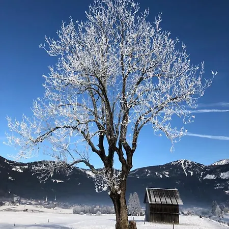 公寓 Dachstein Mountainview