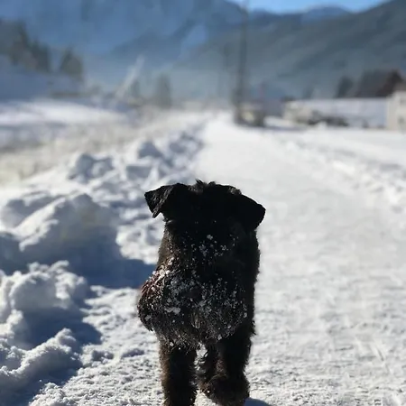 Lägenhet Dachstein Mountainview *