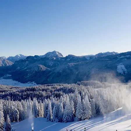 Dachstein Mountainview 公寓 *