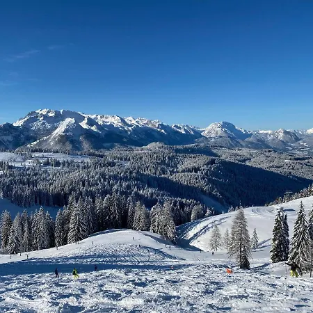 Dachstein Mountainview 格绍