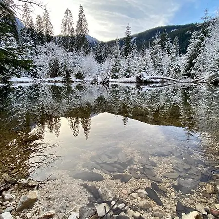 Dachstein Mountainview Lägenhet *