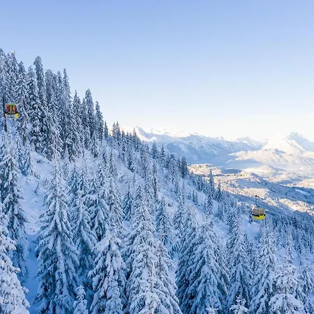 公寓 Dachstein Mountainview 格绍