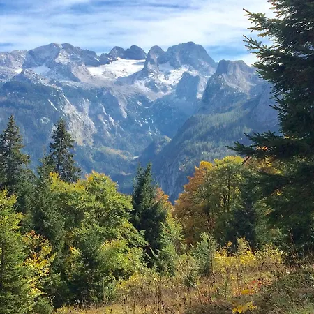 公寓 Dachstein Mountainview *