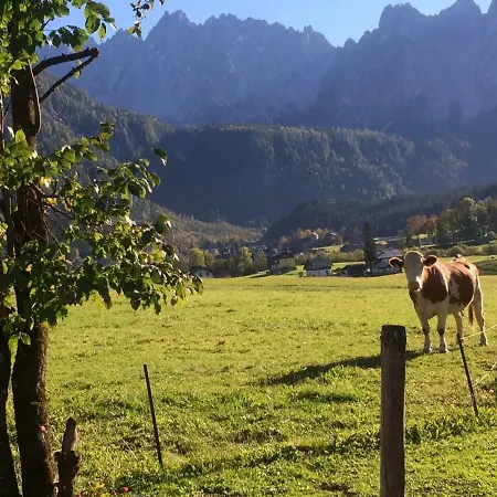 Dachstein Mountainview * Gosau