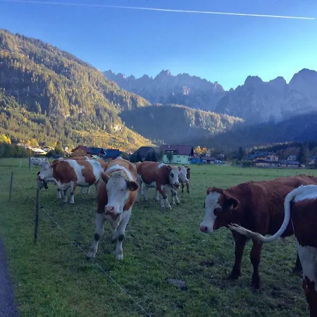 Dachstein Mountainview *