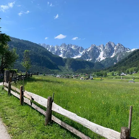 Διαμέρισμα Dachstein Mountainview Gosau