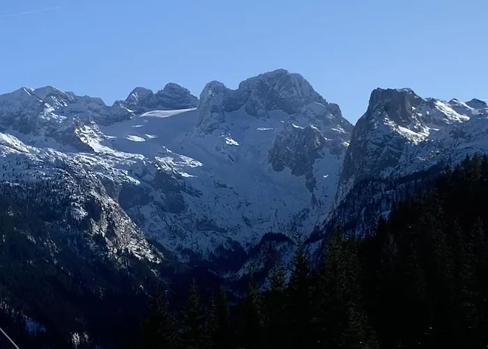 Dachstein Mountainview Apartament Gosau