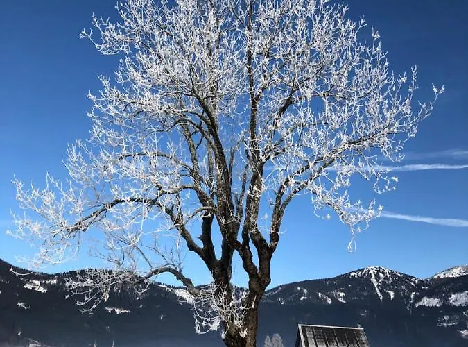 Apartament Dachstein Mountainview