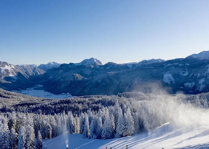 Dachstein Mountainview Apartament *