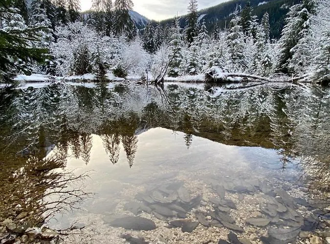 Dachstein Mountainview Apartament *