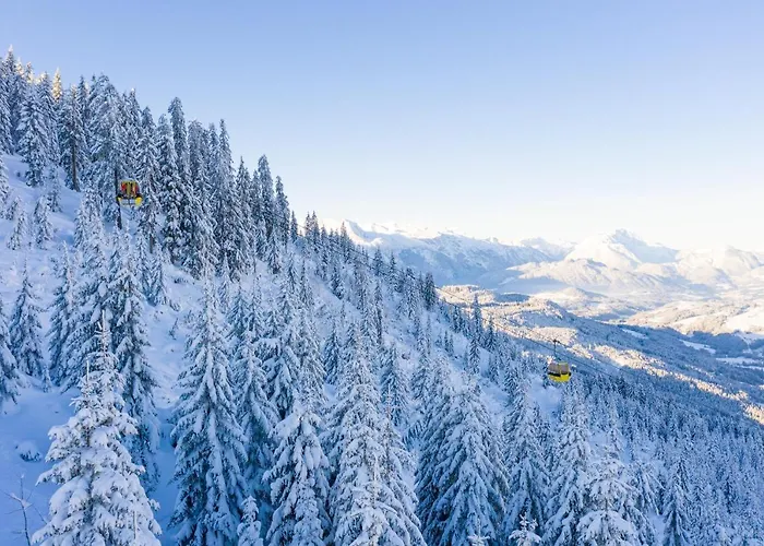 Apartament Dachstein Mountainview Gosau