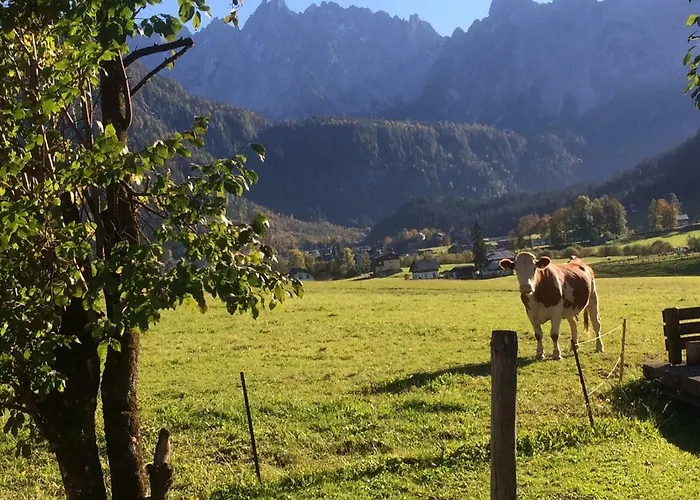 Dachstein Mountainview * Gosau