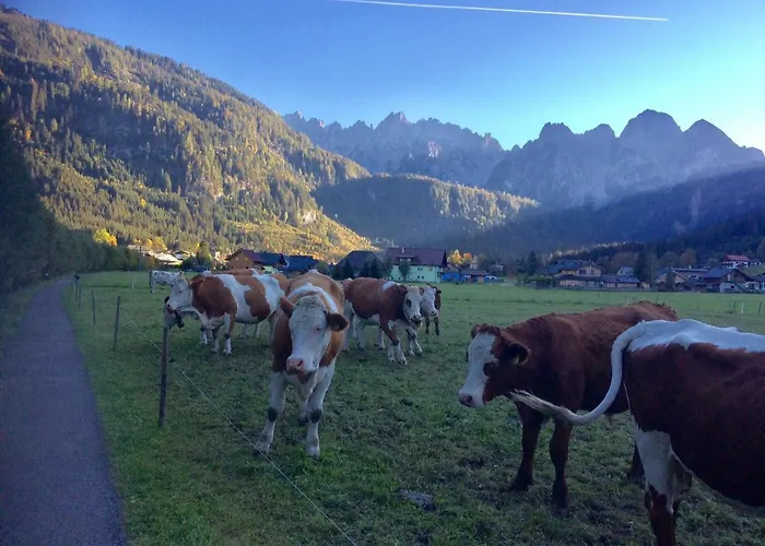 Dachstein Mountainview *