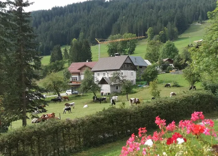 Dachstein Mountainview Apartament *