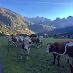 Dachstein Mountainview *